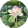 Karmen Watson profile picture